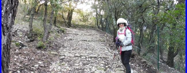 Var, la source des Orris