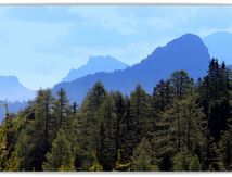 Col  Bas #2
