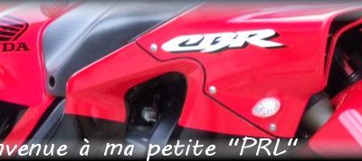 Bienvenue à ma petite "PRL"