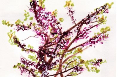 Recherche graphique  (again and again ^^ )