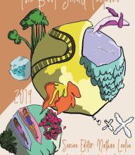 Free ebooks mp3 download The Best Small Fictions: 2019 Anthology