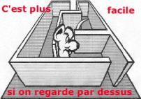 Le GPS de notre cerveau (2)