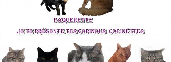 Ti Caramel fait un montage pour présenter ses amis 