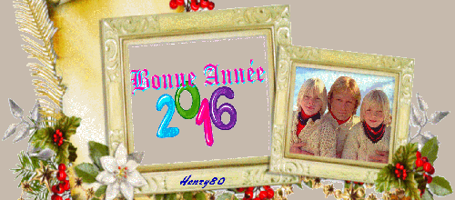 BONNE ANNEE 2016 