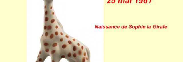 RETROSPECTIVE ANNEES 60 (SUITE)