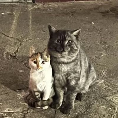 Accrochés l’un à l’autre