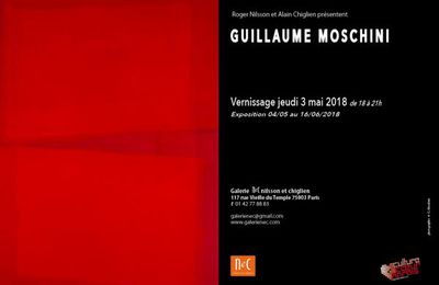 GUILLAUME MOSCHINI EXPOSITION GALERIE NeC PARIS