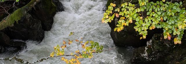 les Pyrénées Espagnoles