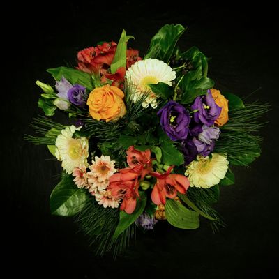 QUE PEUX-T'ON SOUHAITER EN JANVIER ?