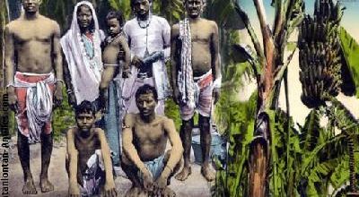 L'immigration indienne aux Antilles