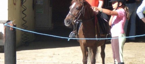 C.S.O. DU 4 juillet 2010