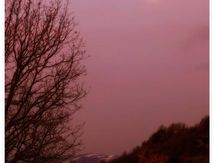 Douceurs d'un matin d'hiver