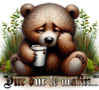 Créations Matin chagrin