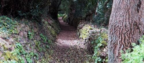 Locoal-Mendon sur les pas de G. Cadoudal