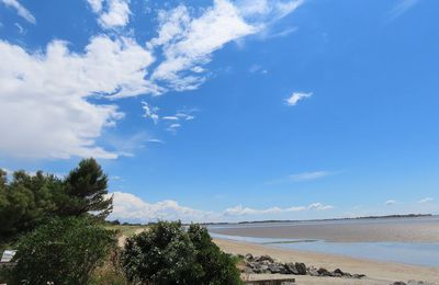 Angoulins sur mer -2