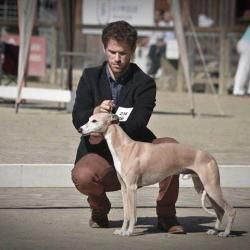 Un grand bravo à Romeo et Quentin!