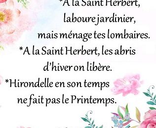 Dictons et Fête du jour Herbert + grille prénom  !