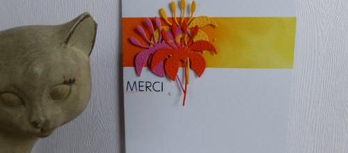 Merciiii ... 6 