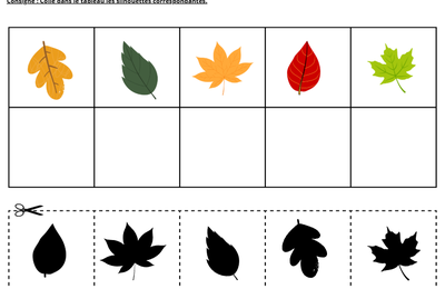 Fiche activité automne sur les silhouettes