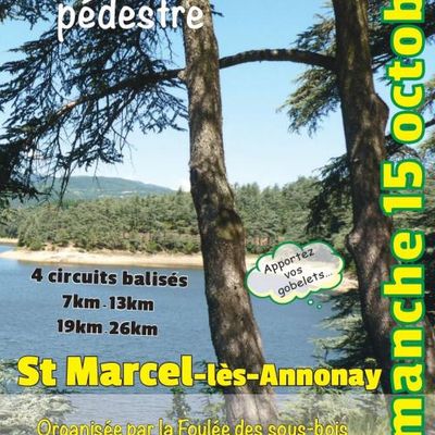 LA FOULEE DES SOUS BOIS 