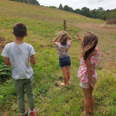      un été bien occupé ...