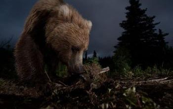 MERCREDI 09 JANVIER 2013