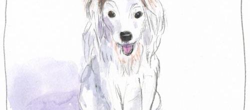 Toscane, Jeanette's dog