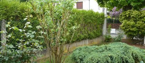 Pluie de printemps
