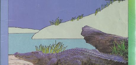 Le crocodile