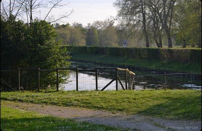 Rambouillet : balade autour de chez moi