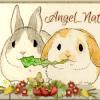 1166 lapin - 1167 fée cœur- Réception 15 -