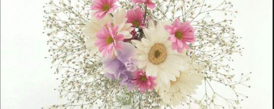 J'ai appris... avec des fleurs