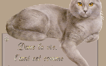 L'eau 