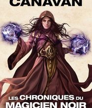 [PDF] Les Chroniques du magicien noir Tome 2 download