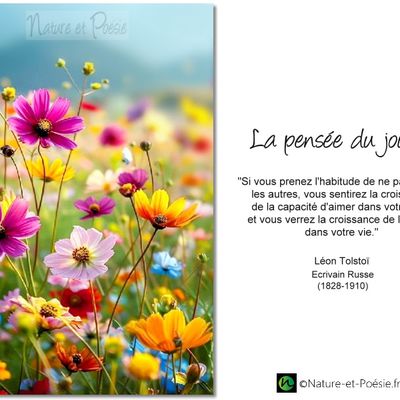 La pensée du jour (206)