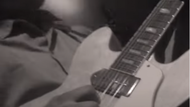 THE SWAMP SHAKERS -MY ONE DESIRE