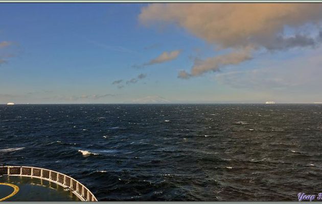 24/02/2022 suite : de retour sur le pont avant, on peut voir, au loin, Siple Island, l'approche se fera en pouvant admirer un spectacle d'Orques épaulards de type B (teinte gris/brun) 