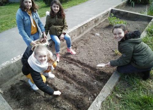 Au jardin...
