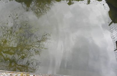 la Photo Mystère du jour ?