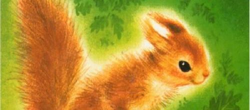 Romain Simon, Le petit Écureuil dans la forêt