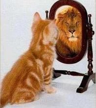 Test de la confiance en soi