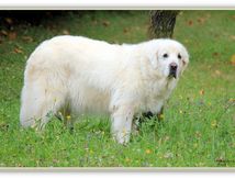  Août ... il fait chaud !