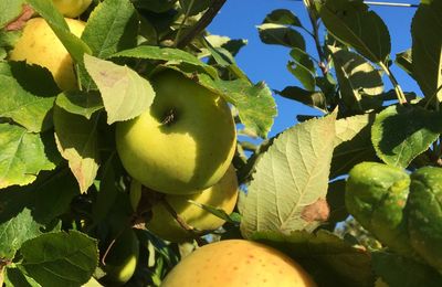 20 septembre 2025 : OTAVA