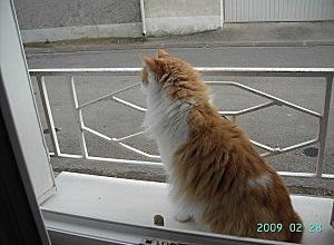 qui est curieux??