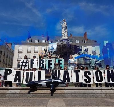 Nantes - Soutien à Paul Watson