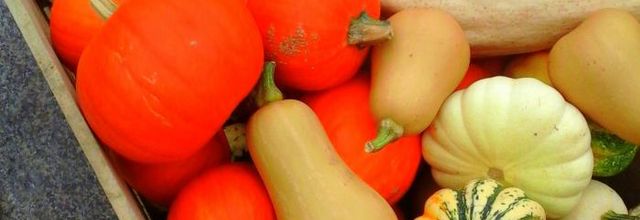 Halloween pourquoi pas 