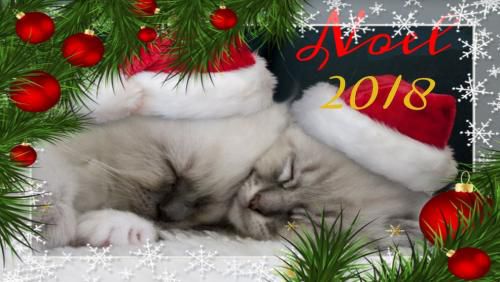 Joyeux Noël 2019