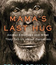 Forum for ebook download Mama's Last Hug: Animal and Human Emotions by Frans de Waal ePub FB2 9780393635065