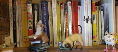 Chats de bibliothèque (3)