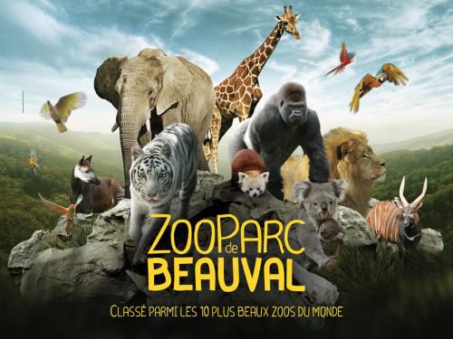 Journée enseignant zoo de Beauval